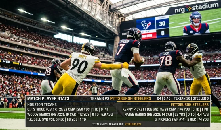 texans vs pittsburgh steelers match player stats